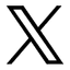 X logo icon