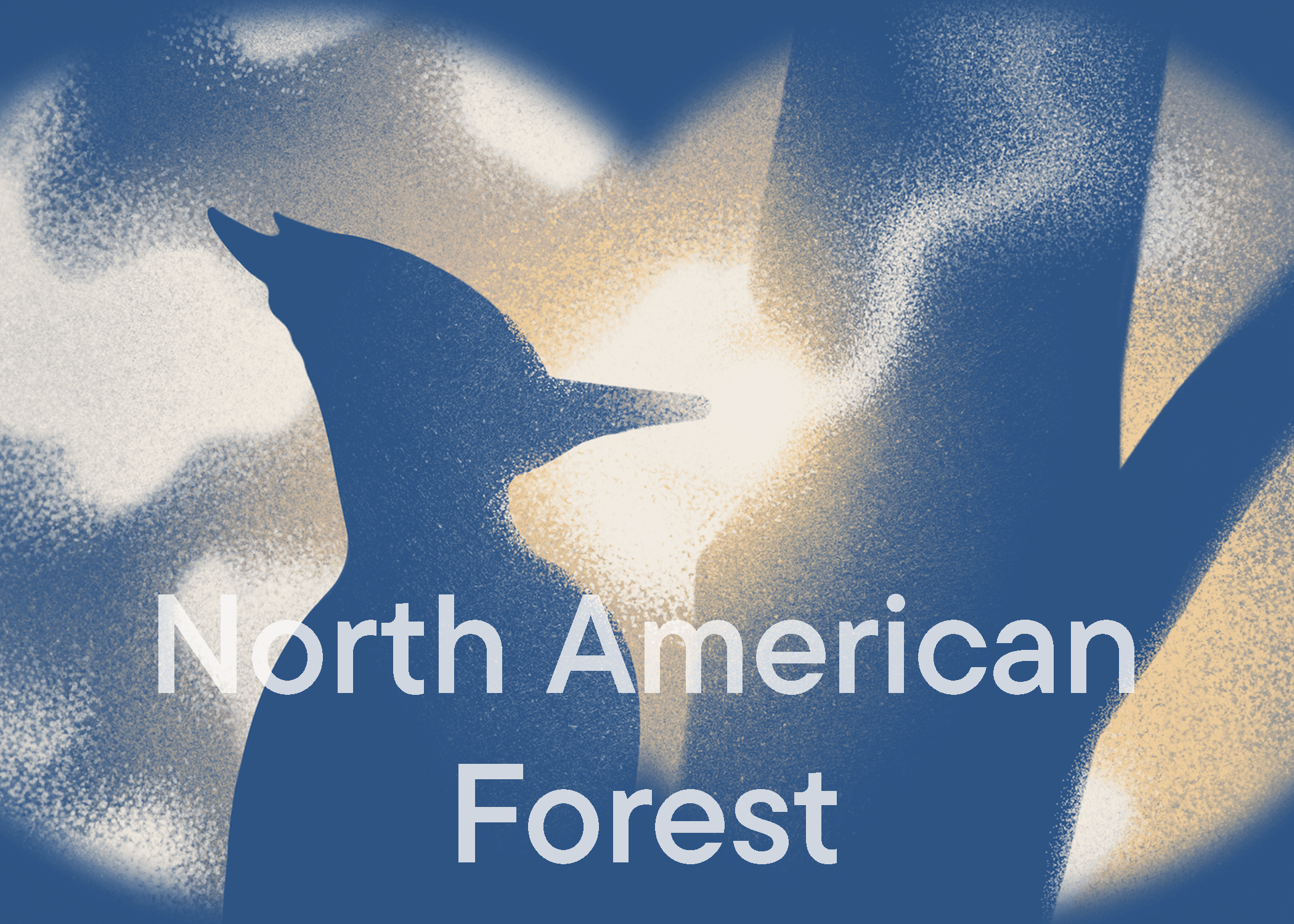 North American Forest - Listening Room BG