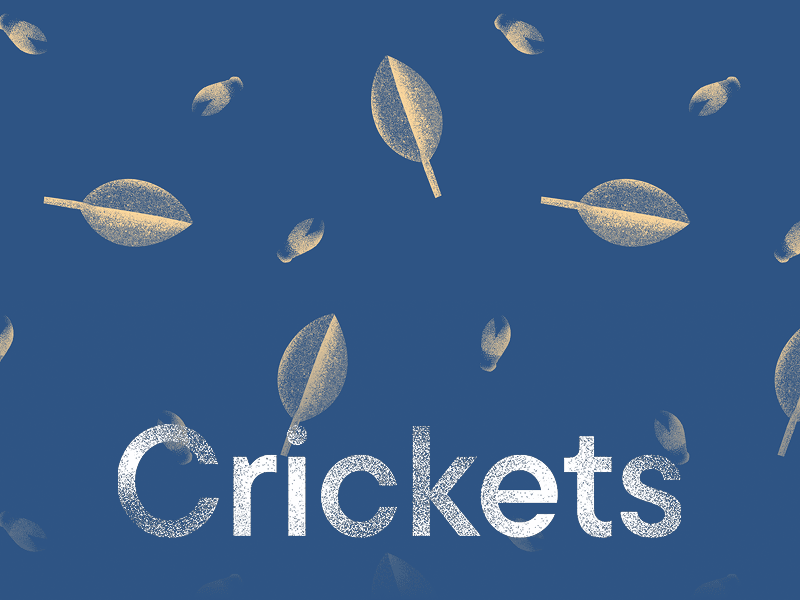 HB ContentHub Alarm-Crickets-Landscape