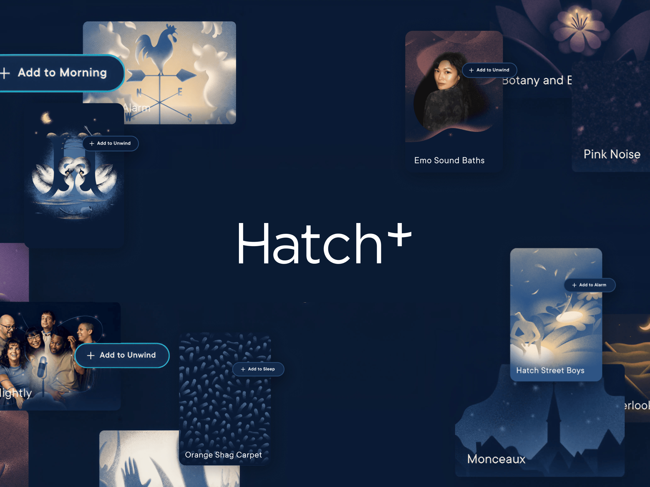 Collage of Hatch+ content cards